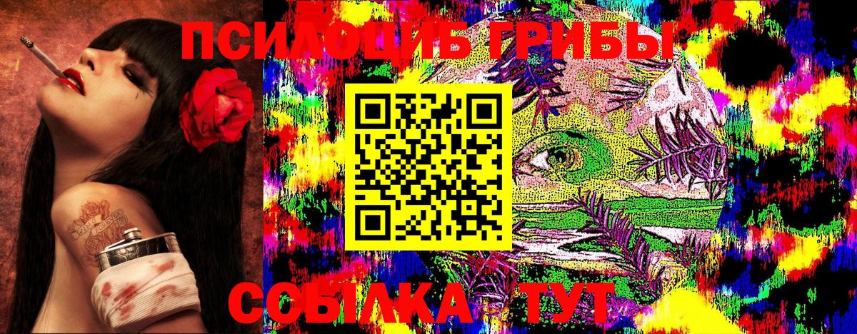 Галлюциногенные грибы Psilocybe  Вход с VPN  где купить   Вологда 
