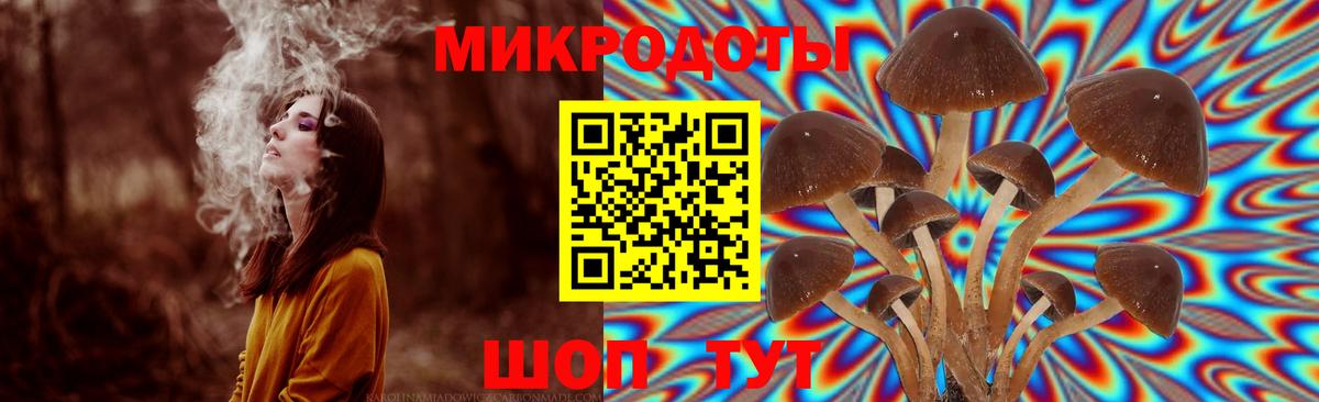 Галлюциногенные грибы мицелий Вологда